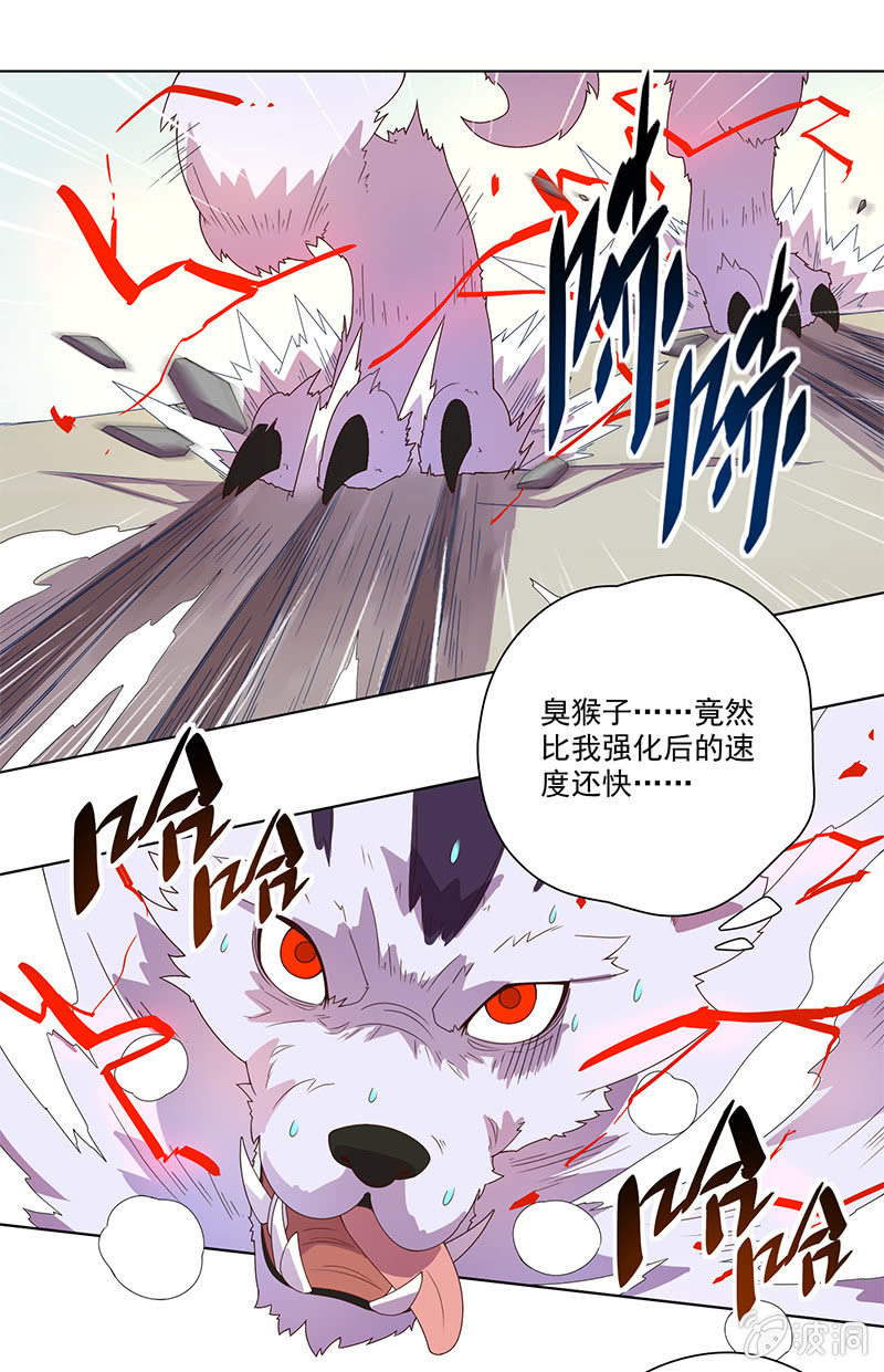 《斗战胜佛》第1话 斗战胜佛 第12页