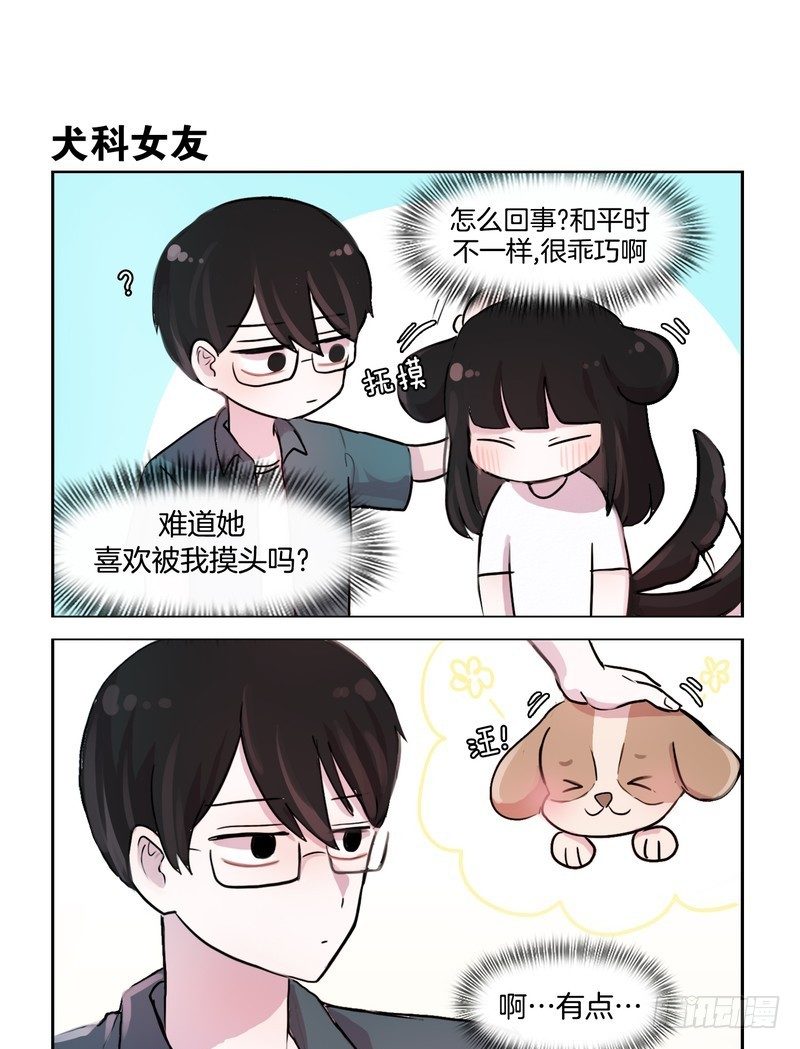 《她讨厌我》猫和狗 第9页