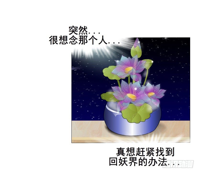 《曼妙美人动情妖》第8集 总裁的思念 第41页