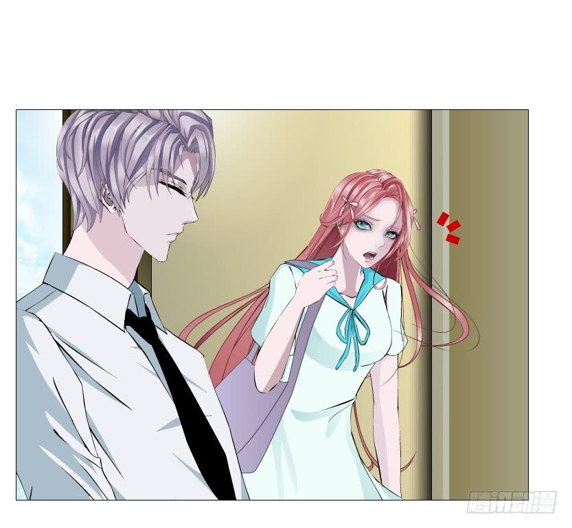 《曼妙美人动情妖》第86集 守护小熊 第43页