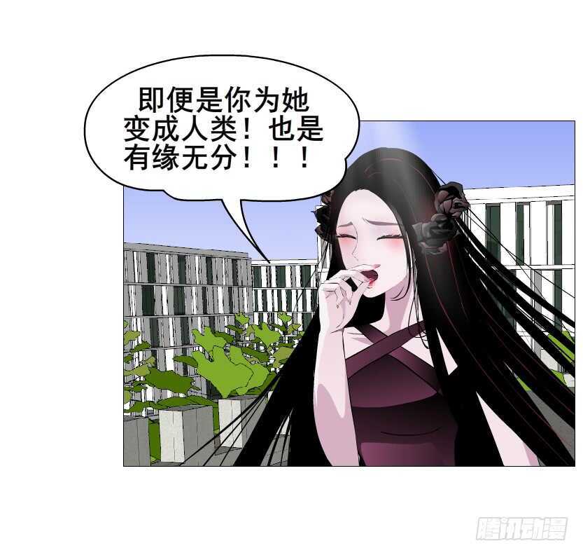 《曼妙美人动情妖》大结局 命运不可逃 第48页