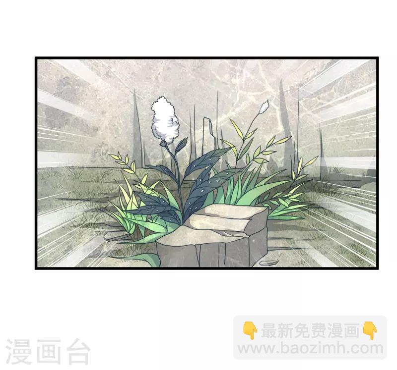 《倾世医妃要休夫》第11话 本王不许你死！ 第14页
