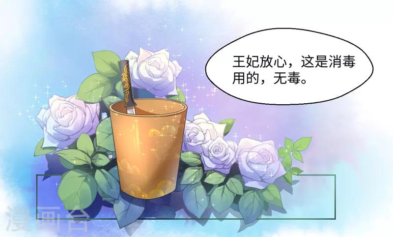 《倾世医妃要休夫》第21话 她不是杨洛衣 第13页