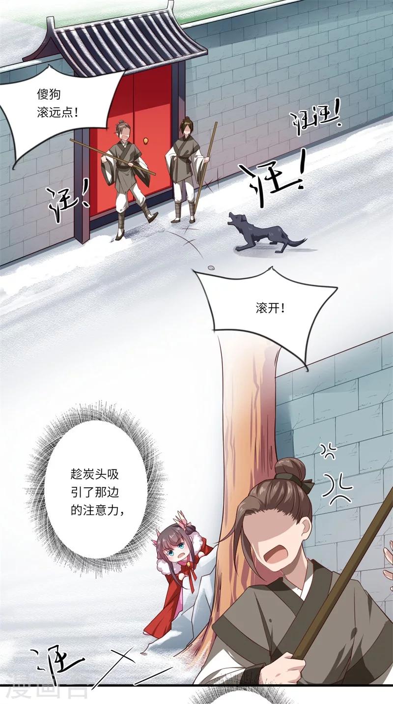 《倾世医妃要休夫》第54话 坠崖 第2页