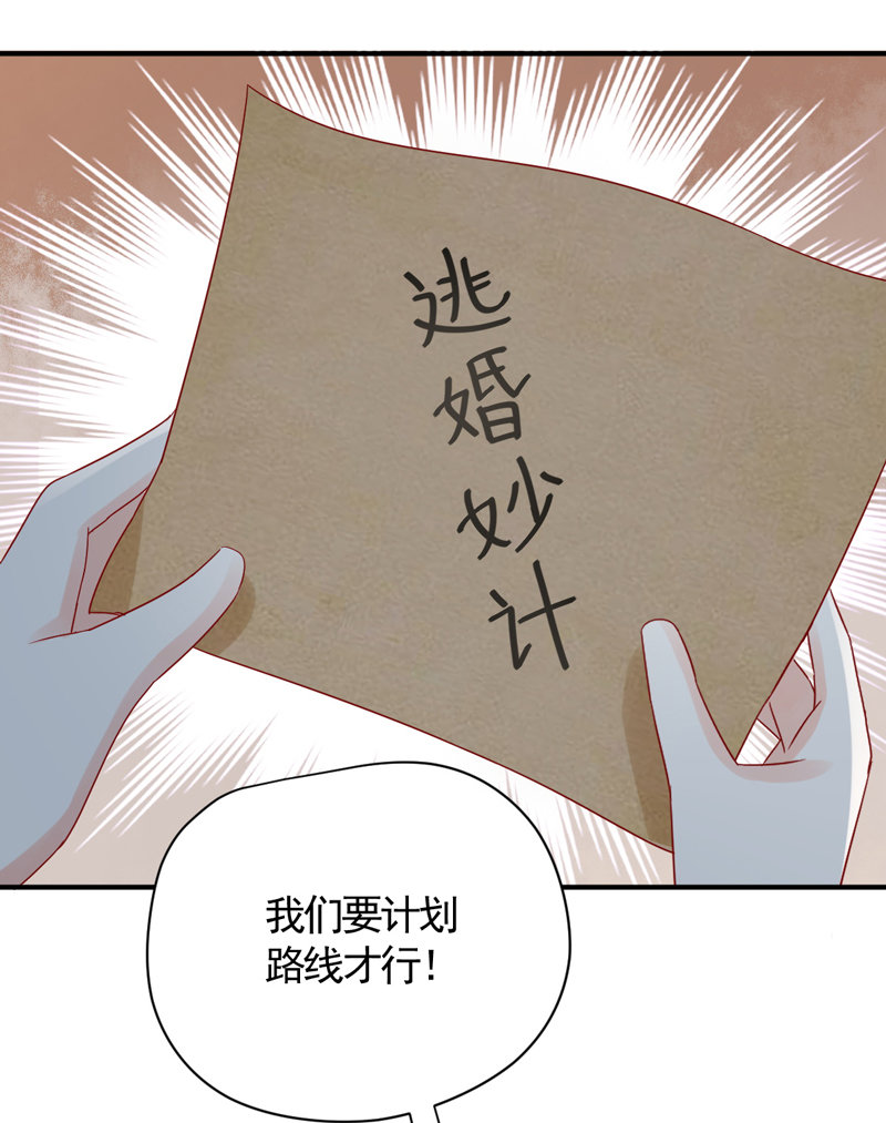 《世子竟想玩养成》第27话 逃跑计划 第30页
