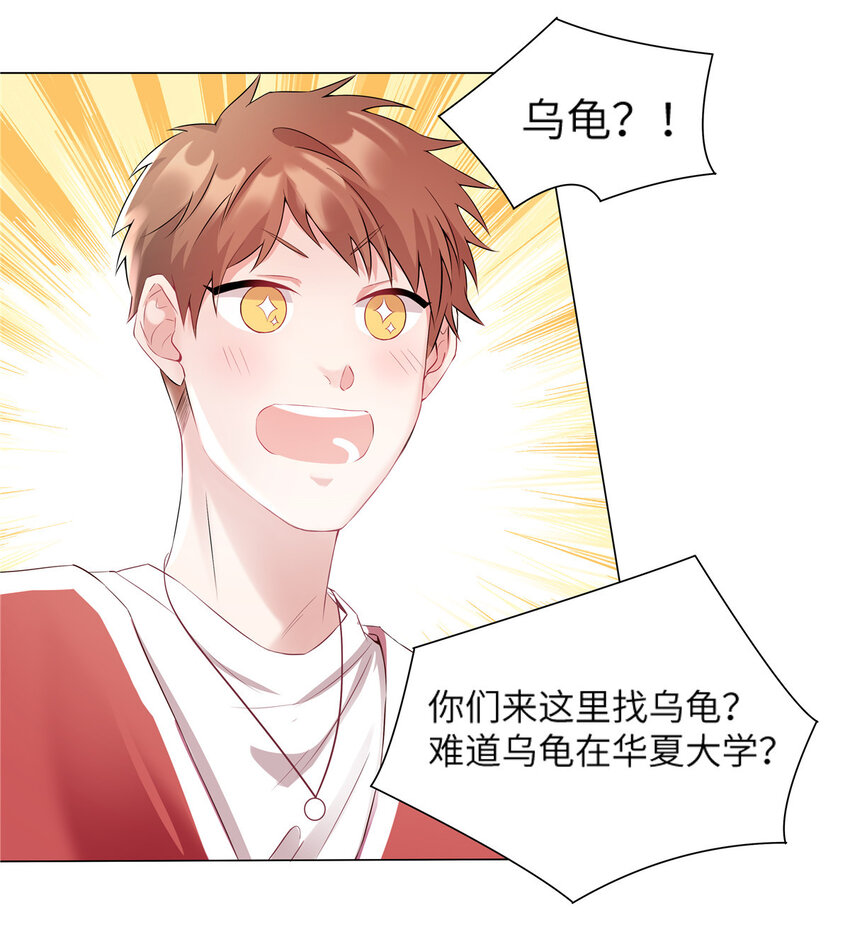 《神秘枕边人boss，借个运》34 真的请来了乌龟？ 第9页