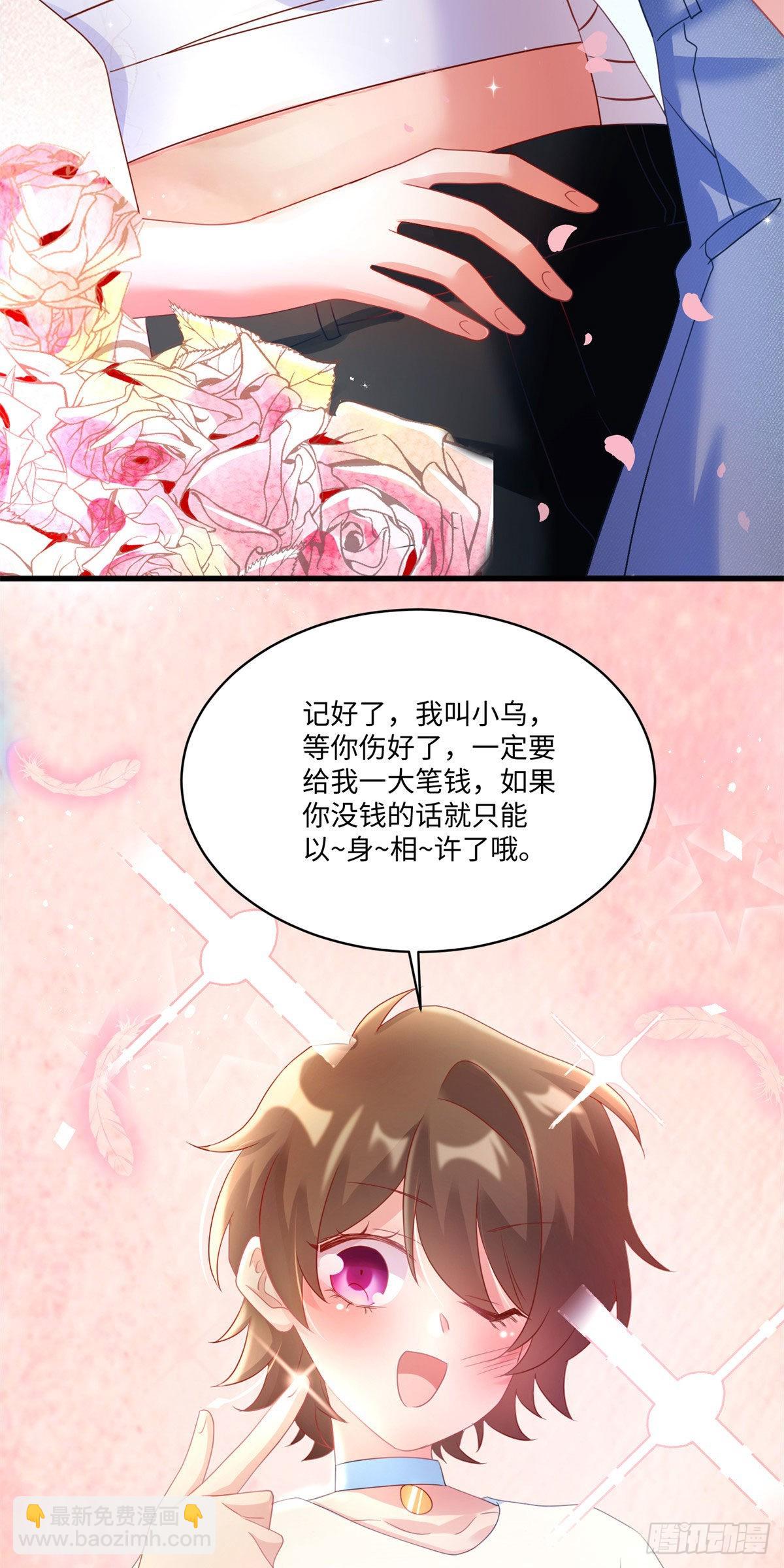《神秘枕边人boss，借个运》52 我的小乌，再也不在了 第25页