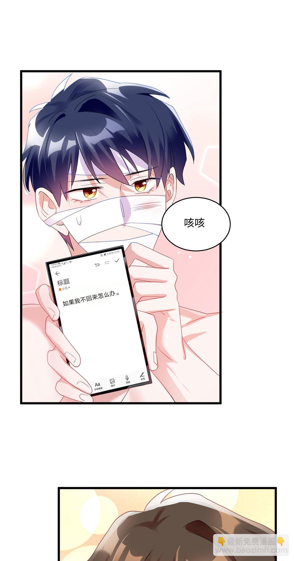 《神秘枕边人boss，借个运》52 我的小乌，再也不在了 第27页