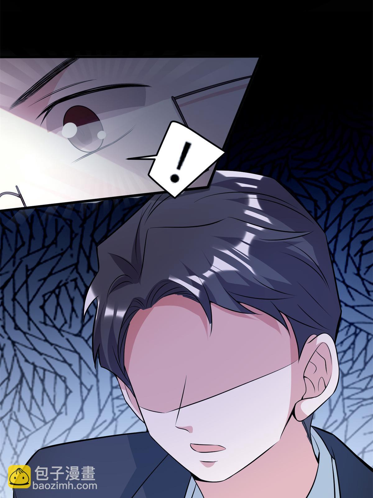 《神秘枕边人boss，借个运》113 一定要夺回于氏 第11页