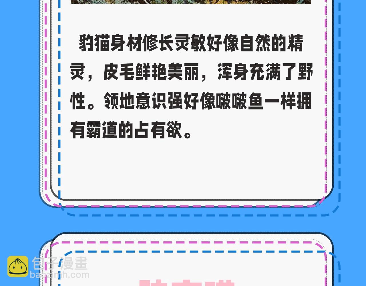 《人鱼陷落（彩蛋日更中）》第43期 人鱼陷落的主角都是什么品种的猫（日更中） 第5页