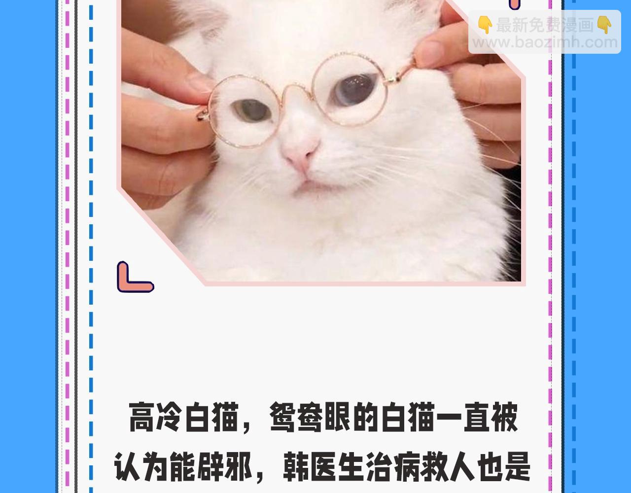 《人鱼陷落（彩蛋日更中）》第43期 人鱼陷落的主角都是什么品种的猫（日更中） 第10页