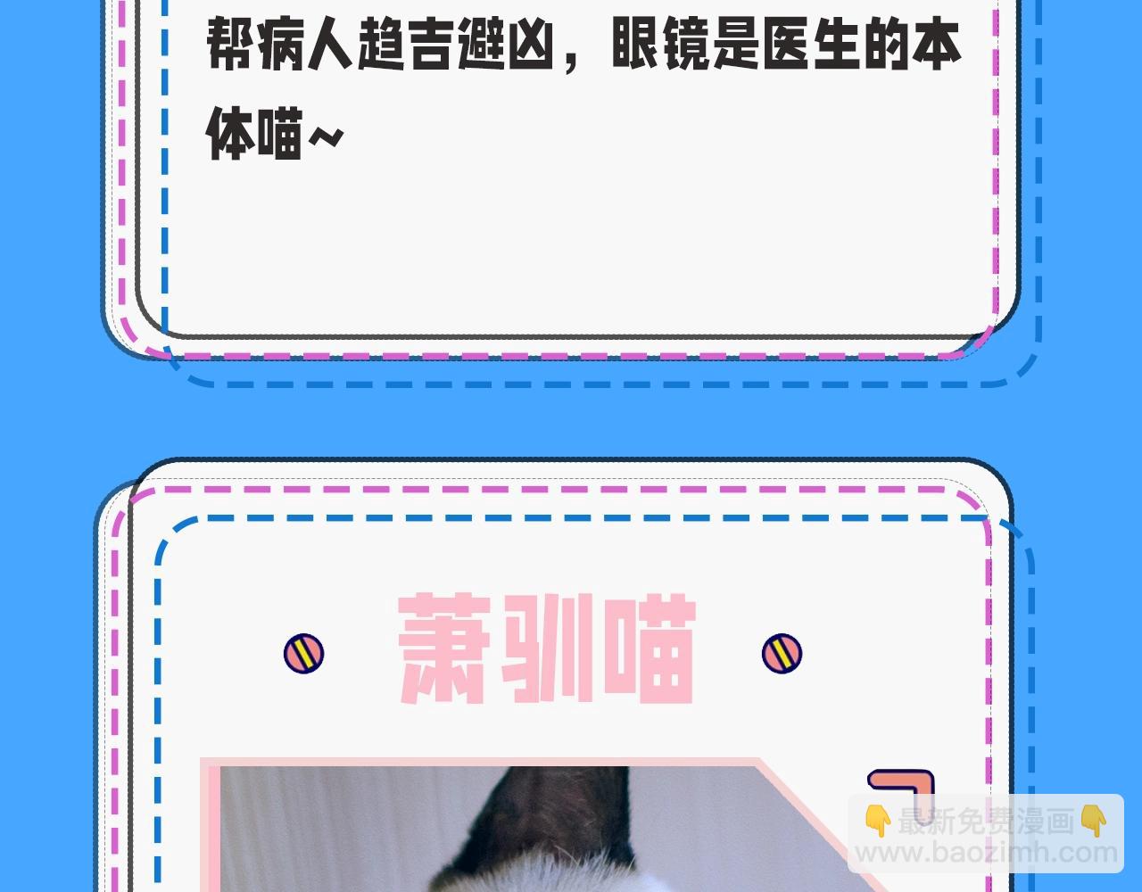 《人鱼陷落（彩蛋日更中）》第43期 人鱼陷落的主角都是什么品种的猫（日更中） 第11页