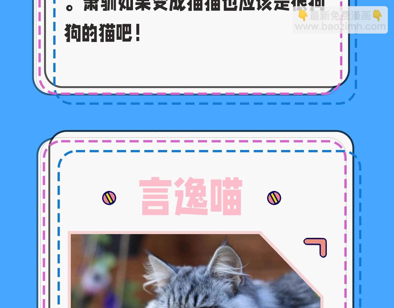 《人鱼陷落（彩蛋日更中）》第43期 人鱼陷落的主角都是什么品种的猫（日更中） 第13页