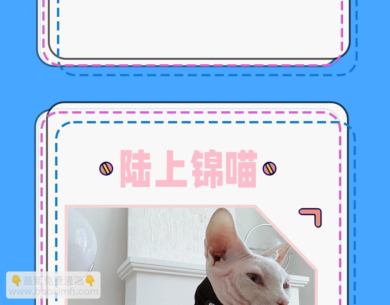 《人鱼陷落（彩蛋日更中）》第43期 人鱼陷落的主角都是什么品种的猫（日更中） 第15页