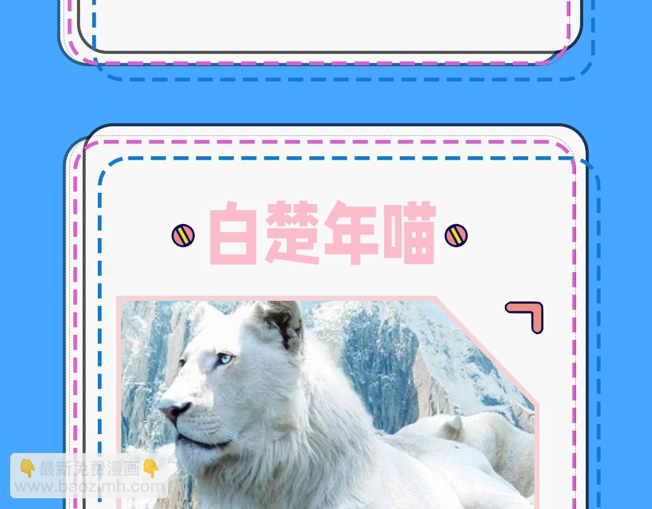 《人鱼陷落（彩蛋日更中）》第43期 人鱼陷落的主角都是什么品种的猫（日更中） 第17页