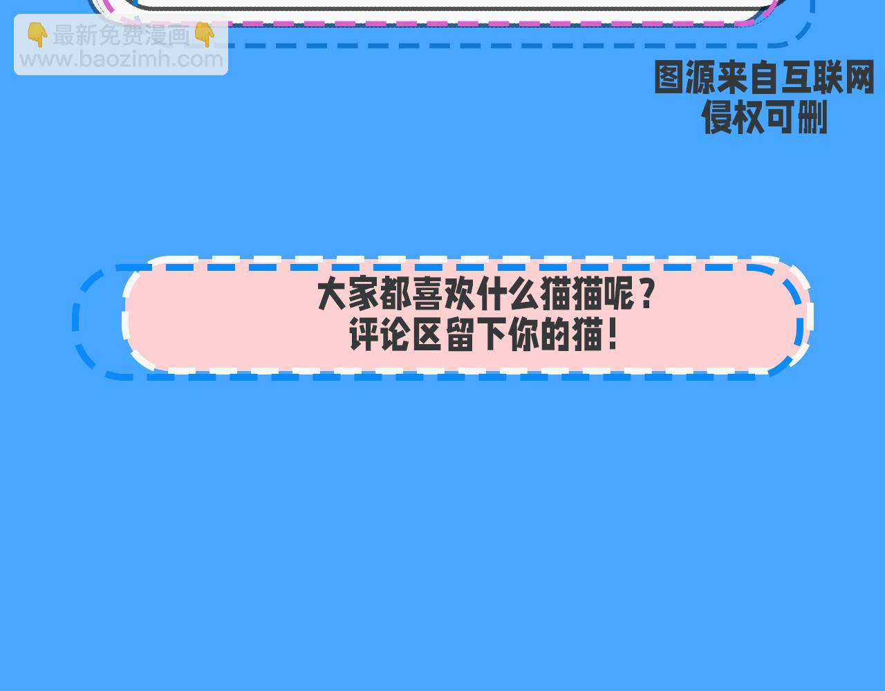 《人鱼陷落（彩蛋日更中）》第43期 人鱼陷落的主角都是什么品种的猫（日更中） 第19页