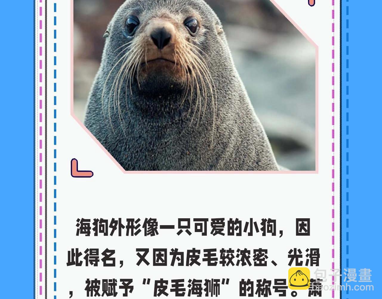 《人鱼陷落（彩蛋日更中）》第52期 人鱼陷落的主角都是什么品种的鱼（日更中） 第12页
