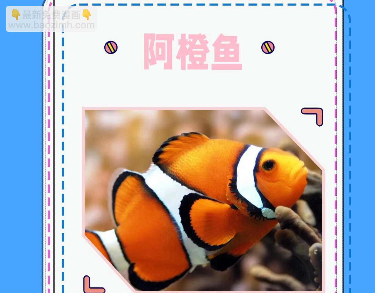 《人鱼陷落（彩蛋日更中）》第52期 人鱼陷落的主角都是什么品种的鱼（日更中） 第18页