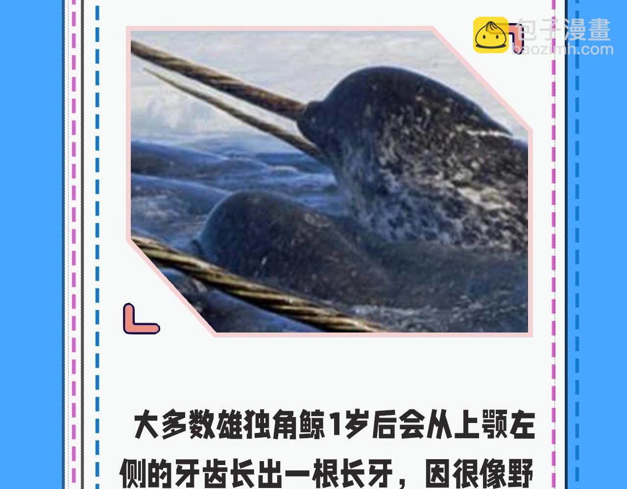 《人鱼陷落（彩蛋日更中）》第52期 人鱼陷落的主角都是什么品种的鱼（日更中） 第10页