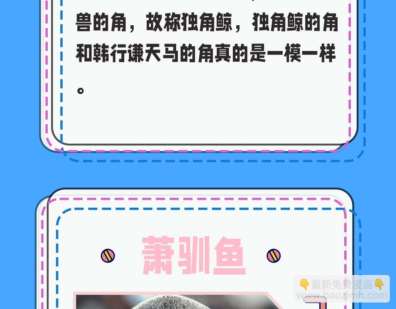 《人鱼陷落（彩蛋日更中）》第52期 人鱼陷落的主角都是什么品种的鱼（日更中） 第11页