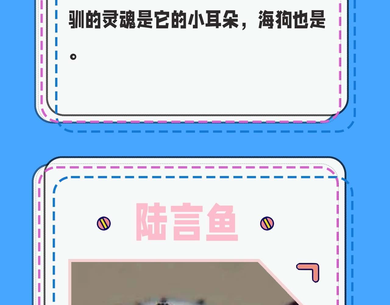 《人鱼陷落（彩蛋日更中）》第52期 人鱼陷落的主角都是什么品种的鱼（日更中） 第13页