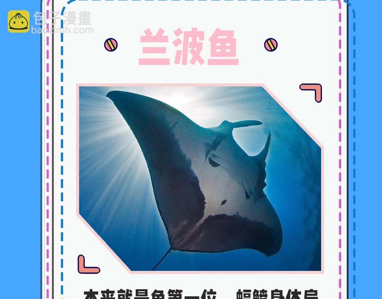 《人鱼陷落（彩蛋日更中）》第52期 人鱼陷落的主角都是什么品种的鱼（日更中） 第6页