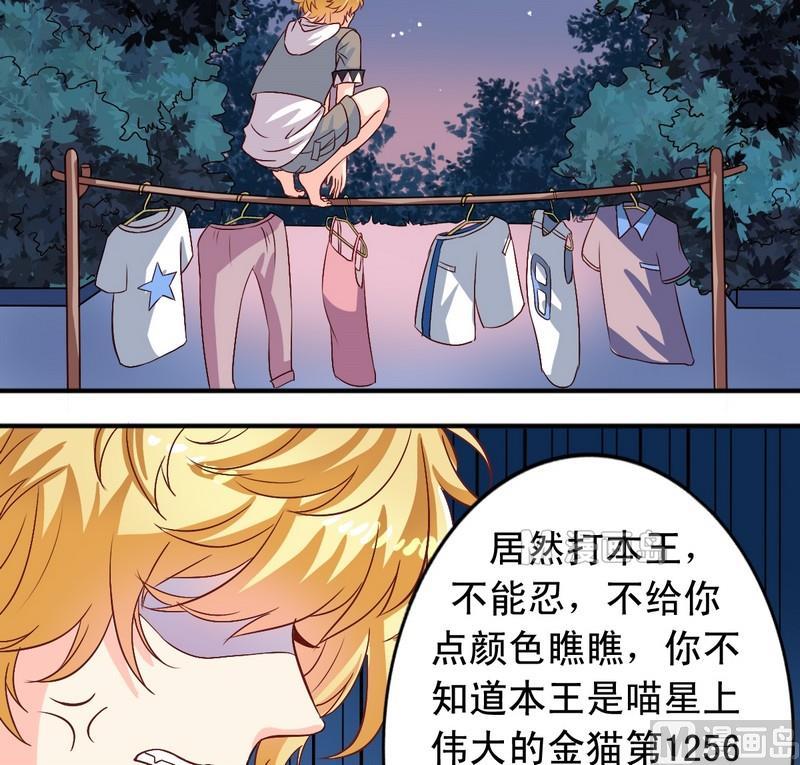 《鱼唇的人类放朕走》第11话 王喵要报复 第3页