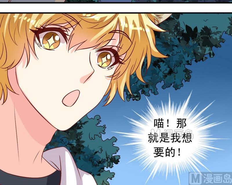 《鱼唇的人类放朕走》第11话 王喵要报复 第8页