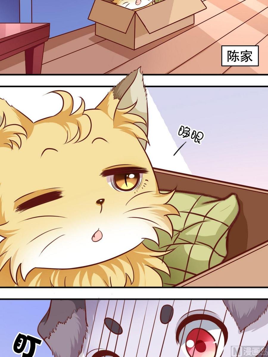 《鱼唇的人类放朕走》第70话 一见钟情 第5页
