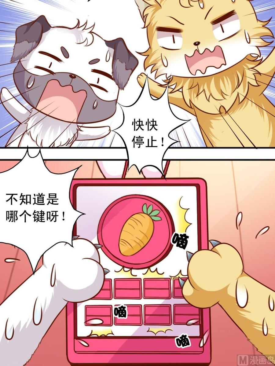 《鱼唇的人类放朕走》第75话 变兔子 第9页