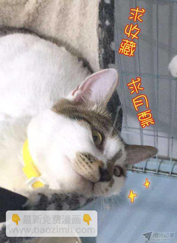 《拐个皇帝回现代》112话题美男的前妻（下） 第11页