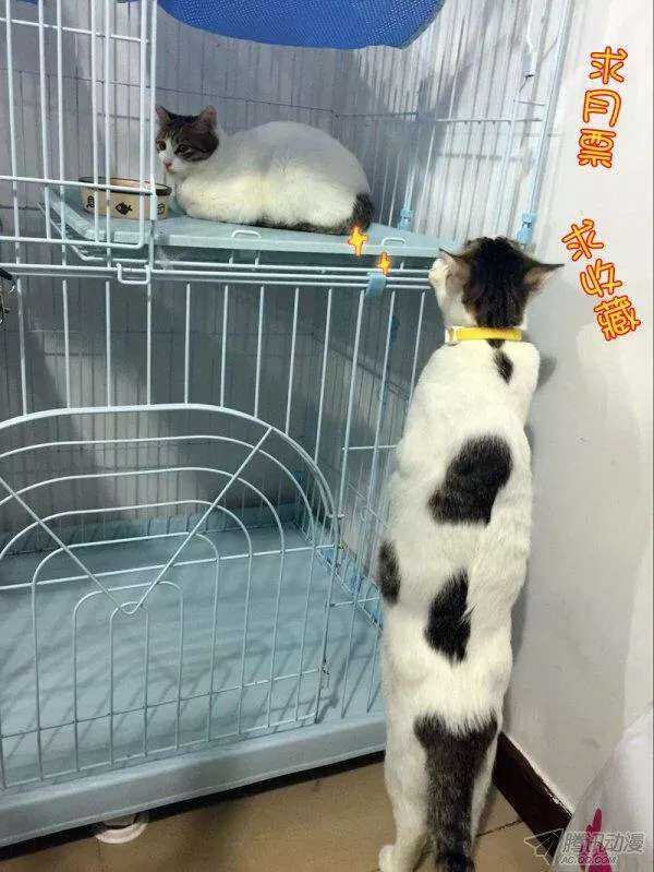 《拐个皇帝回现代》113意外的寿宴 第12页