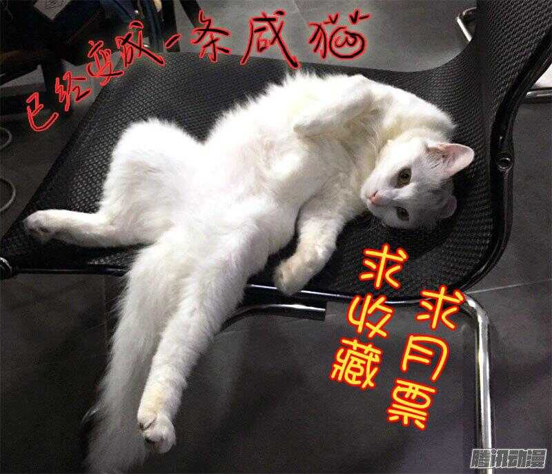 《拐个皇帝回现代》117叶夫人的天罗地网（下） 第12页