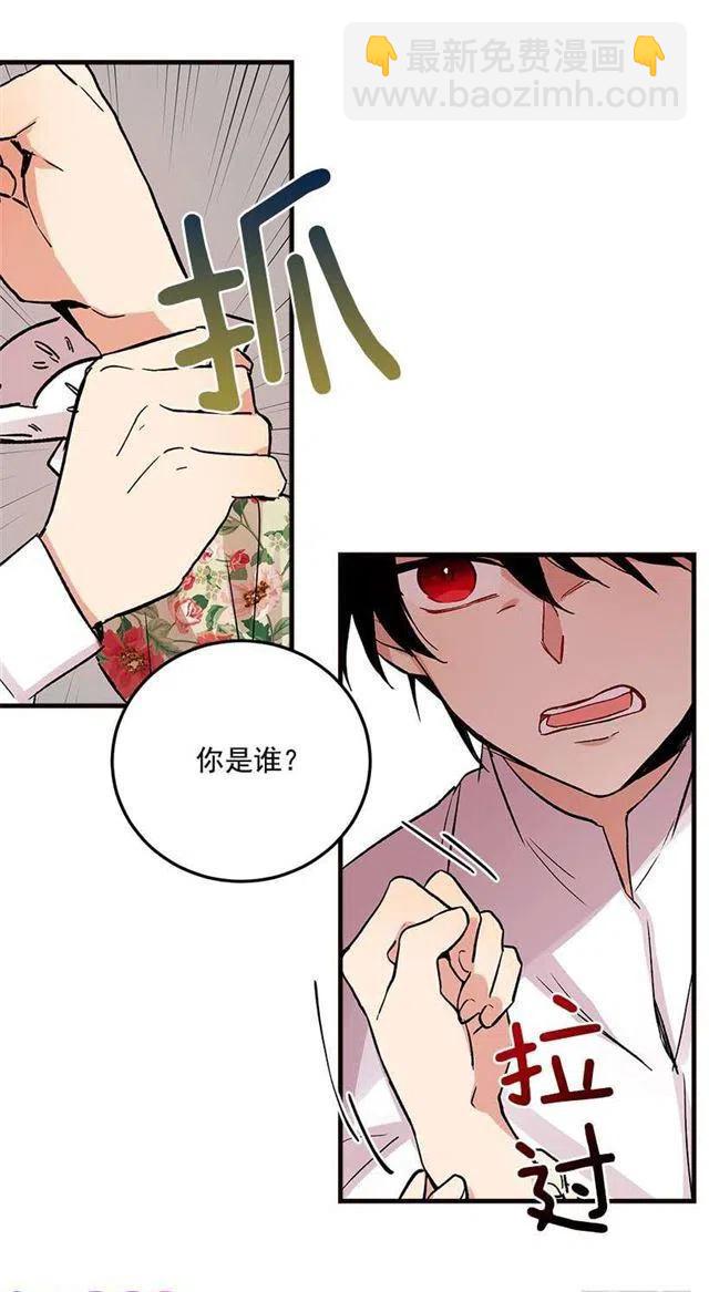 《我是这一家儿的孩子》府里藏着个小哥哥 第40页