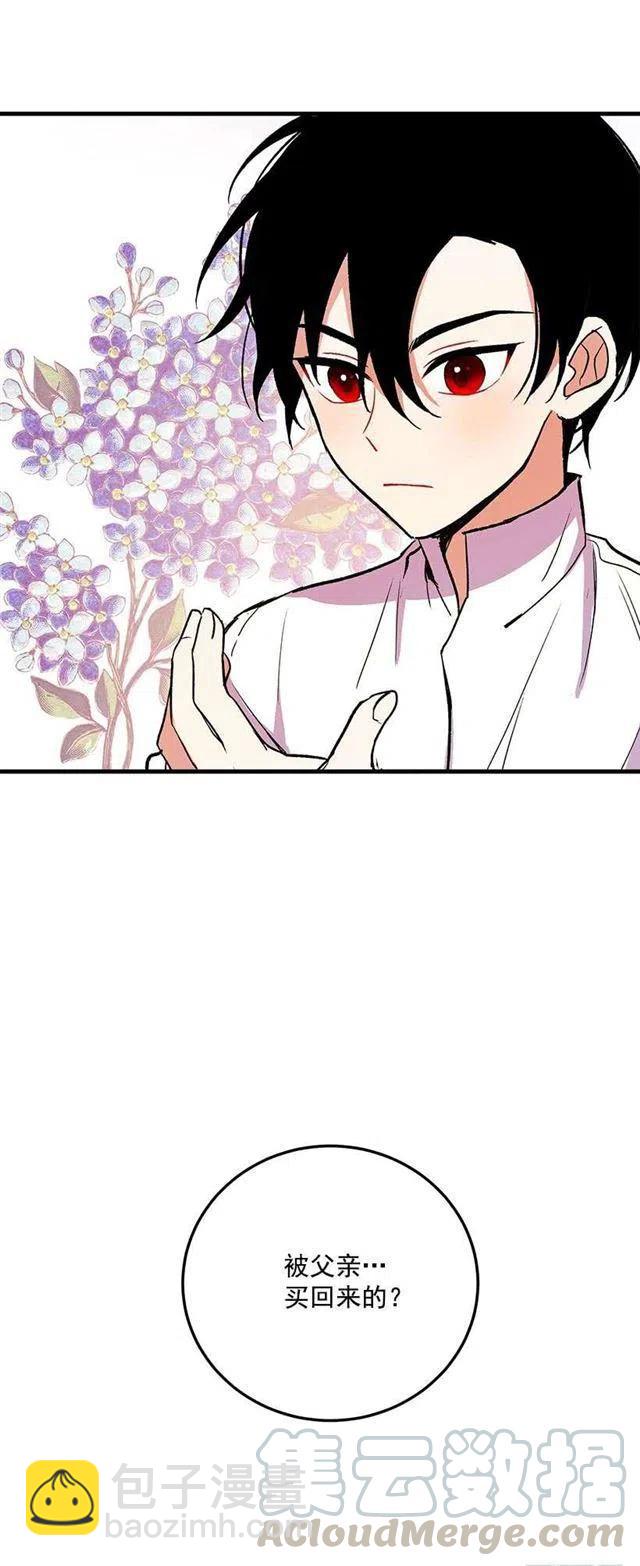 《我是这一家儿的孩子》原来是公爵少爷 第13页