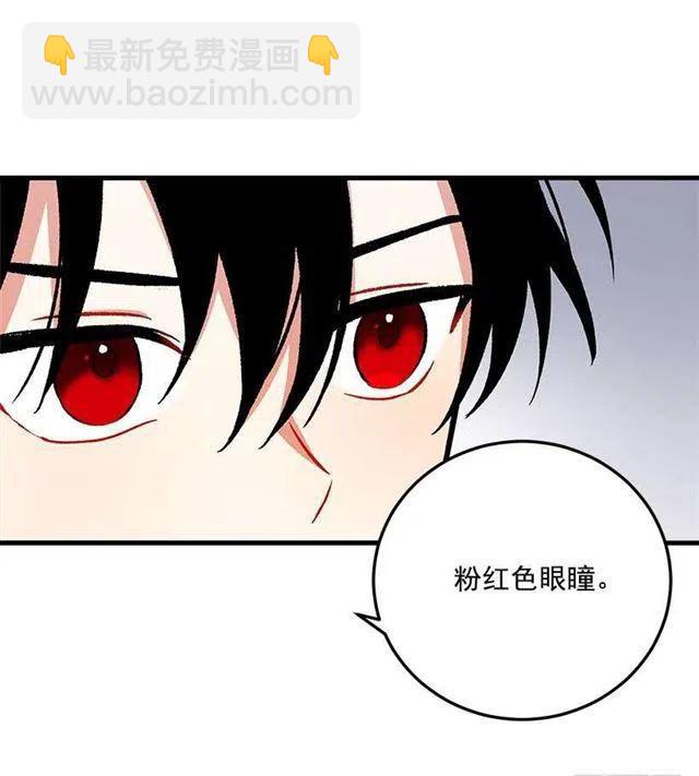 《我是这一家儿的孩子》原来是公爵少爷 第41页