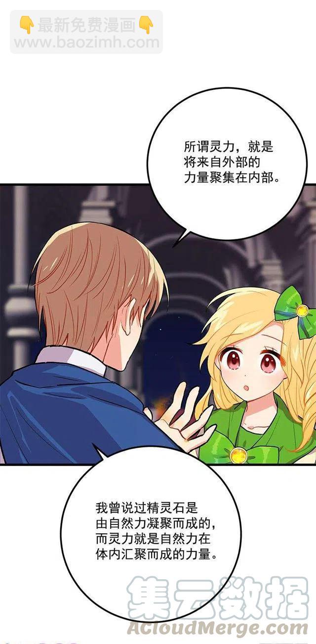 《我是这一家儿的孩子》灵力 第13页