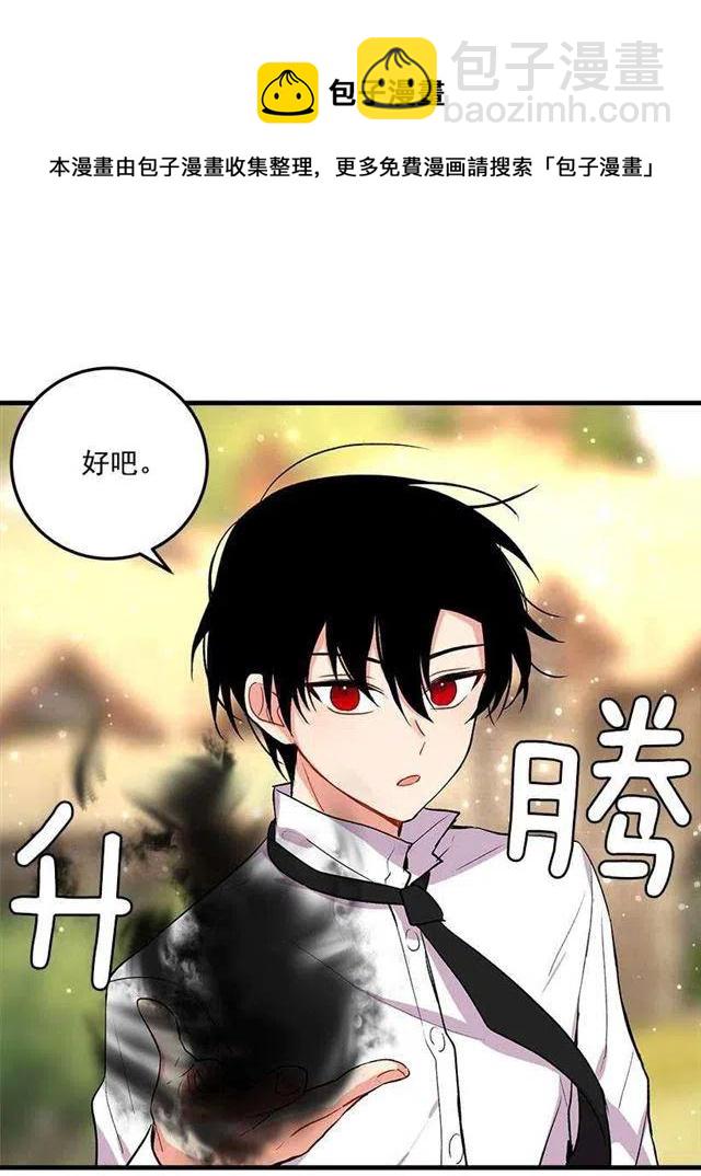 《我是这一家儿的孩子》灵力 第30页