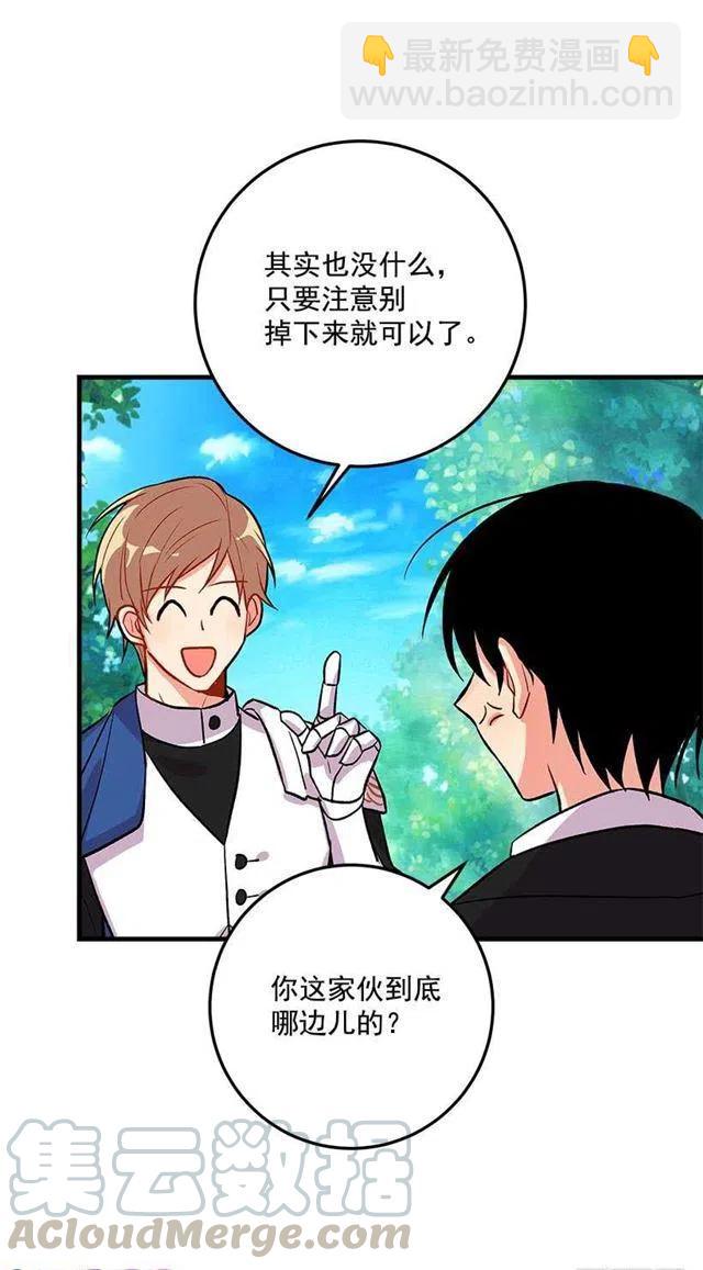 《我是这一家儿的孩子》精灵石 第13页