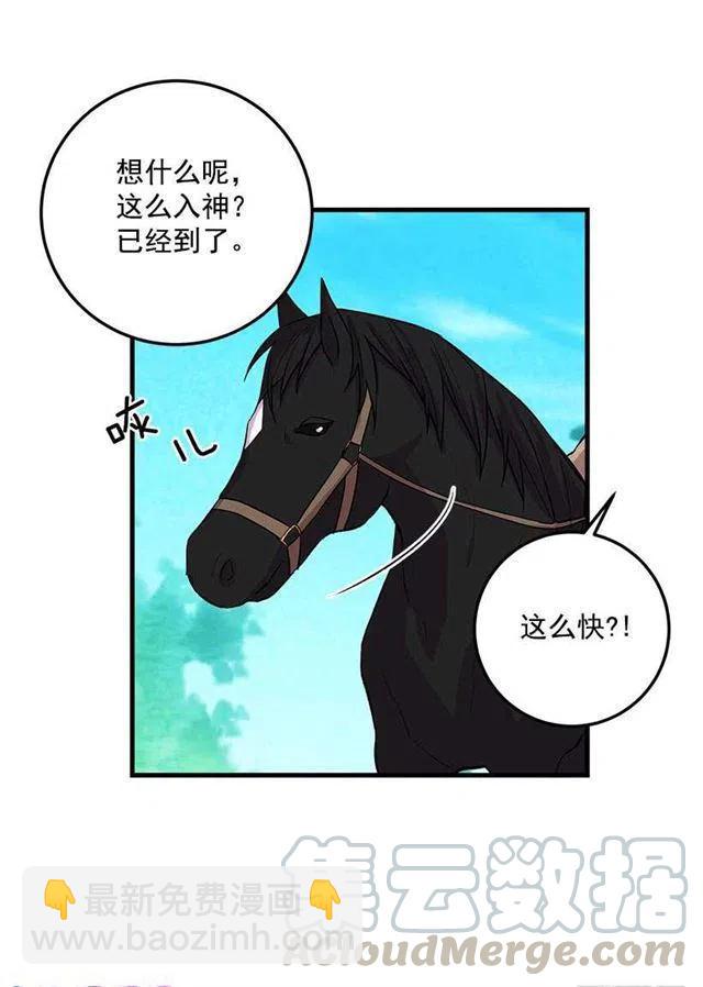 《我是这一家儿的孩子》精灵石 第31页