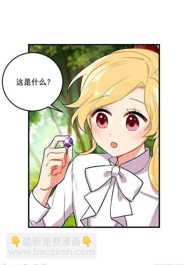 《我是这一家儿的孩子》精灵石 第36页