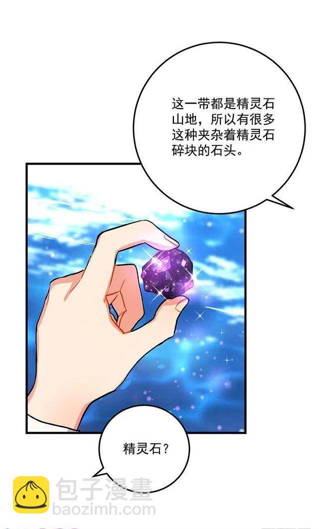 《我是这一家儿的孩子》精灵石 第38页