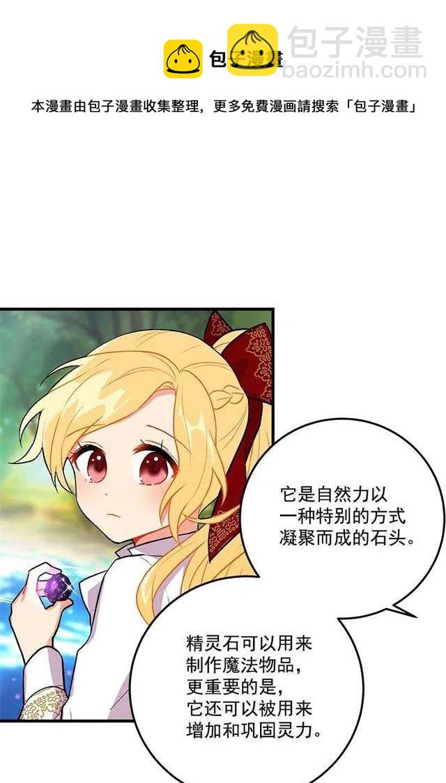 《我是这一家儿的孩子》精灵石 第39页