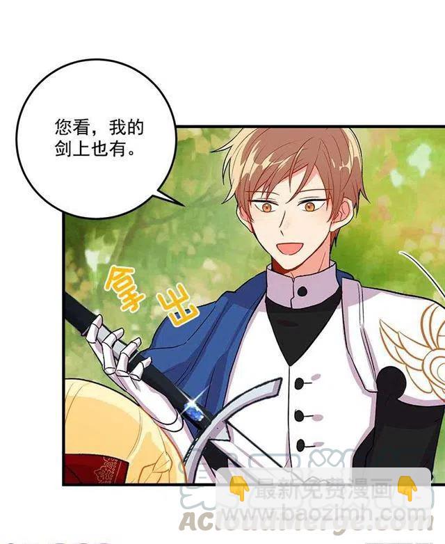 《我是这一家儿的孩子》精灵石 第40页