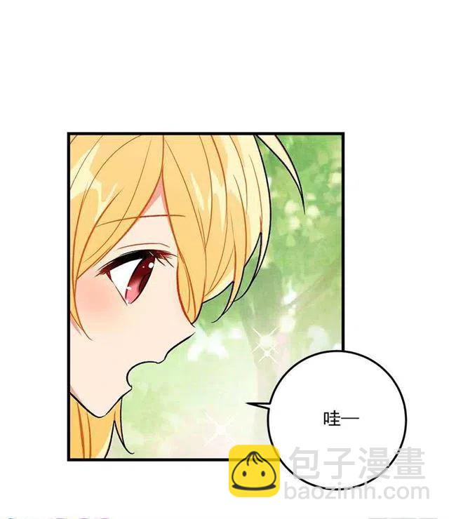 《我是这一家儿的孩子》精灵石 第41页