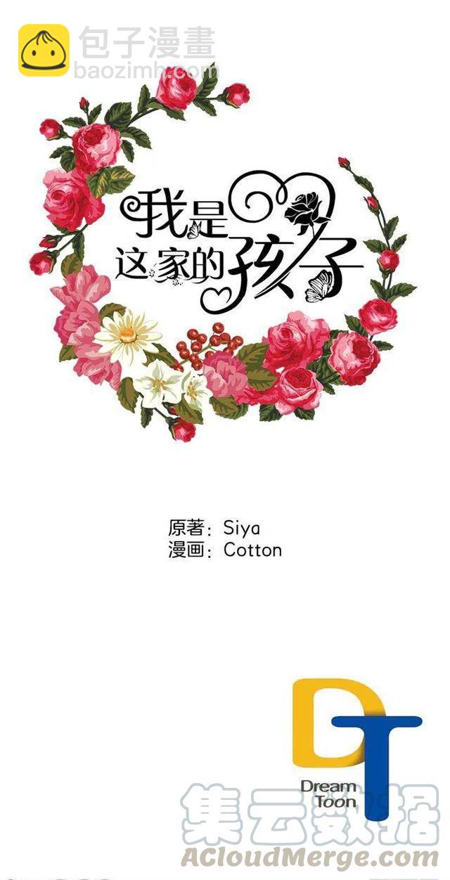《我是这一家儿的孩子》精灵石 第43页