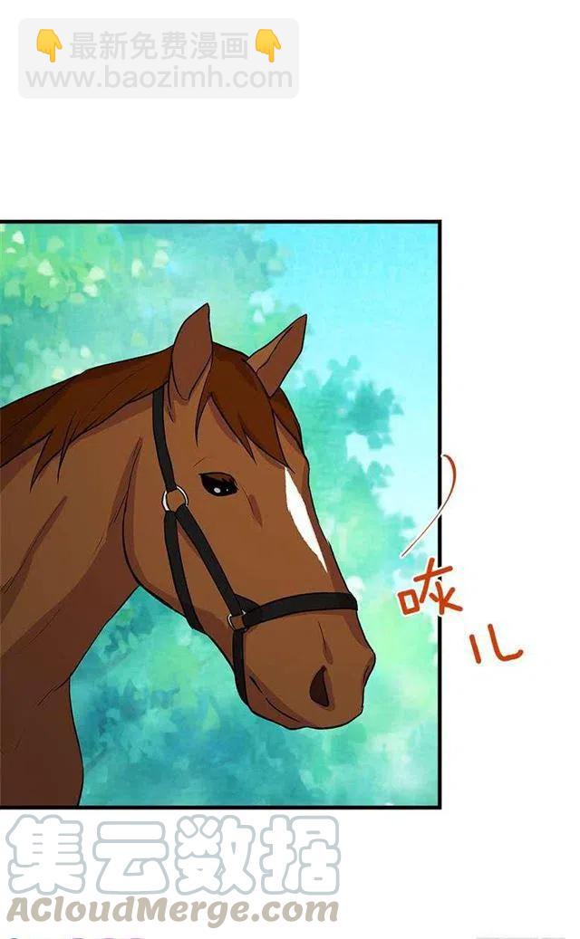 《我是这一家儿的孩子》精灵石 第4页