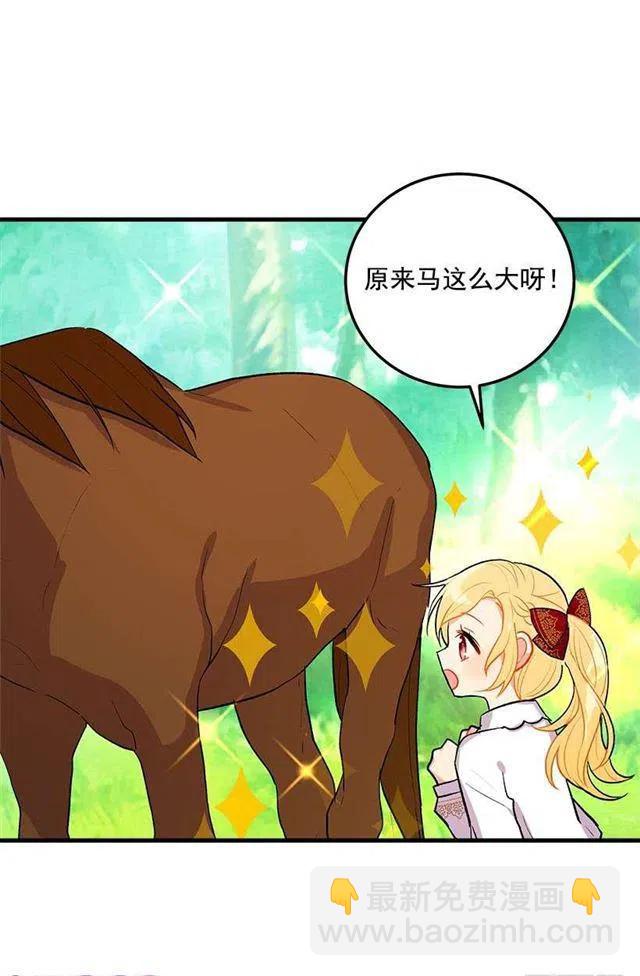 《我是这一家儿的孩子》精灵石 第5页
