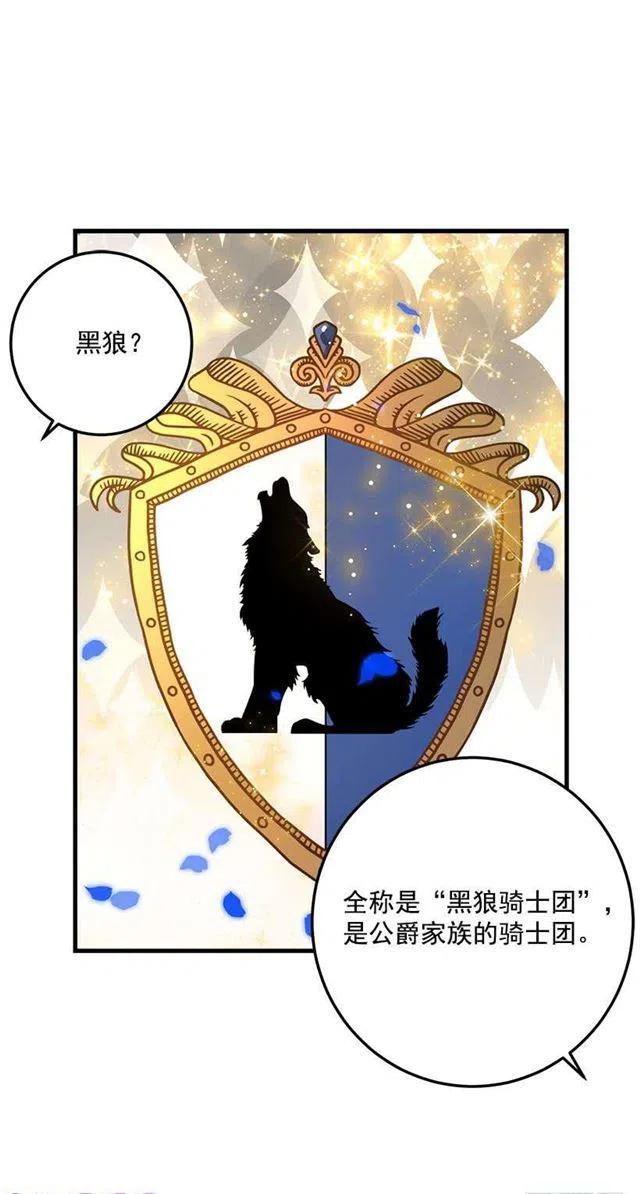《我是这一家儿的孩子》贴身骑士埃默尔 第9页