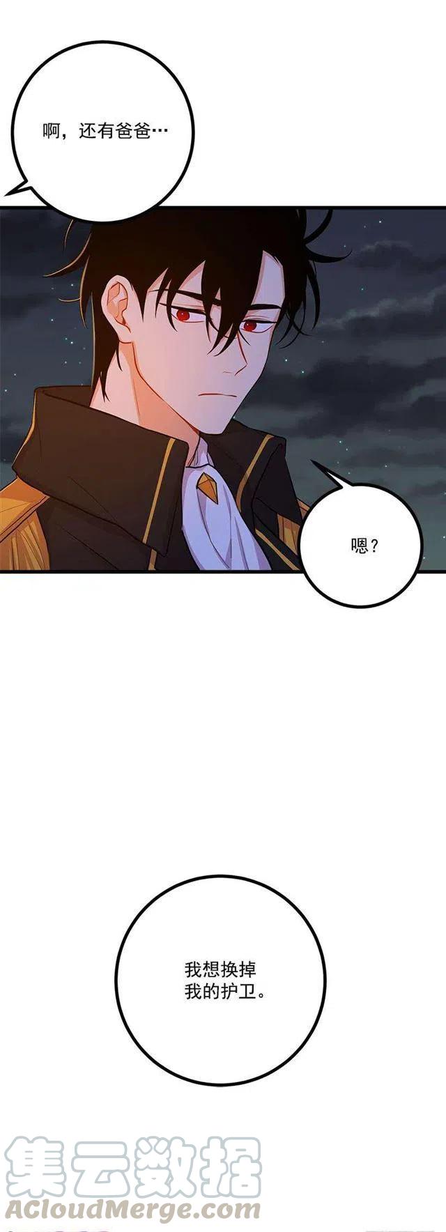 《我是这一家儿的孩子》新护卫 第25页